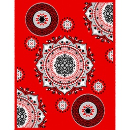Image miniature CIRTA-T210X270-92675-7 .jpg