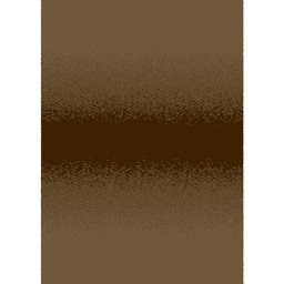 OLYMPIA 58060 (Rectangular, 200X280, MARRON BRONZE LX)