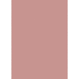 VICTORIA 10000 (Rectangular, 200X280, BOIS DE ROSE)