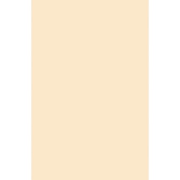 OLYMPIA 10004 (Rectangular, 200X280, CREME LX)