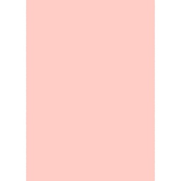 PLUME 10000 (Rectangular, 200X280, ROSE PASTEL LX)