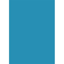 OURSON 10000 (Rectangulaire, 200X280, BLEU TURQUOISE)