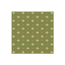 TAGHIT 51230 (Salon &amp; Chambre, LARGEUR 210, VERT PISTACHE, Orientale)