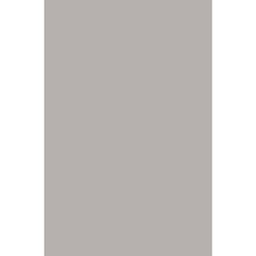 PLUME 10000 (Rectangulaire, 160X230, GRIS CLAIR LX CHICHENE)