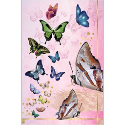 RUBIS 0785A (Rectangular, 160X230, MULTI COULEURS, Lamination)