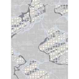 HAZAR 9344A (Rectangular, 200X280, GRIS CLAIRE SHRINK)