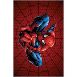 RUBIS 0473A (Rectangular, 120X160, MULTI COULEURS, Lamination)