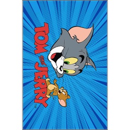 RUBIS 0478A (Rectangular, 120X160, MULTI COULEURS, Lamination)