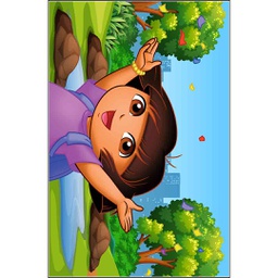 RUBIS 0459A (Rectangular, 120X160, MULTI COULEURS, Lamination)