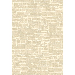 ANKARA 7997A (Rectangular, 200X280, BEIGE)