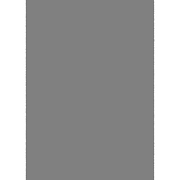 FENNEC 10000 (Rectangulaire, 200X280, GRIS FONCE)