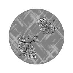 NOUR 9612D (Rond, 165X165, GRIS FONCE)