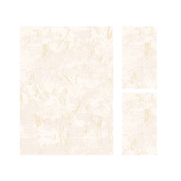 MADRID 9311D (Rectangular, ( T 160X220 + 2T 60X110 ), ECRU SHRINK - ECRU)