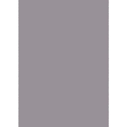 AUTRICHE 10000 (Rectangular, 200X280, GRIS MAUVE)