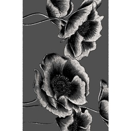 NOUR 89460 (Rectangulaire, 200X275, GRIS FONCE)