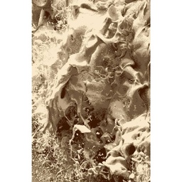 ريماس 99590 (مستطيل, 200X275, عاجي)