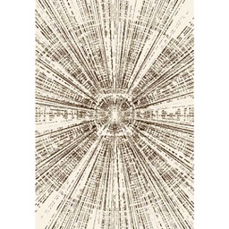 PALACE 98310 (Rectangulaire, 160X230, MARRON CAFE)