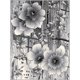 NOUR 91042 (Rectangulaire, 200X275, GRIS CLAIRE)