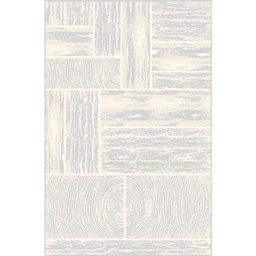 DUBAI 99081 (Rectangulaire, 200X280, GRIS CLAIRE)