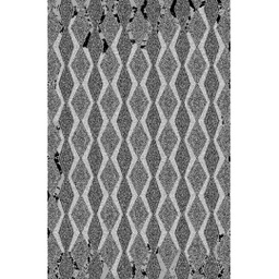 SHIRAZ 9819B (Rectangulaire, 200X275, GRIS CLAIRE)