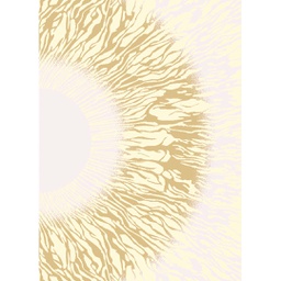OZEL 97420 (Rectangular, 200X280, ECRU SHRINK_MARRON MIEL)