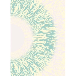 OZEL 97420 (Rectangulaire, 200X280, ECRU SHRINK_BLEU)