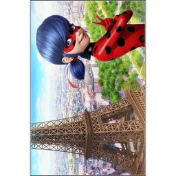 STORY 2224A (Rectangulaire, 120X160, MULTI COULEURS, Lamination)