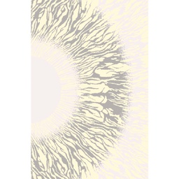 أوزيل 97420 (مستطيل, 200X280, بني)
