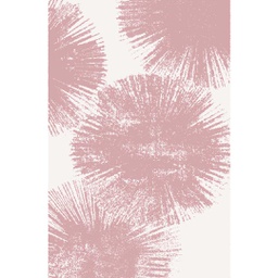 RANIM A8350 (Rectangulaire, 165X230, BLANC CASSE SHRINK_BOIS DE ROSE)