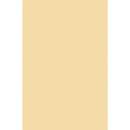 PLUME 10000 (Rectangulaire, 200X280, CREME LX CHICHEN)