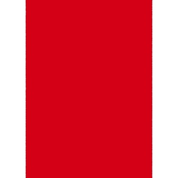 PLUME 10000 (Rectangular, 200X280, ROUGE LX CHICHEN)