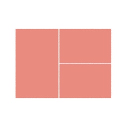 PLUME 10000 (Rectangulaire, ( T 80X130 + 2T 65X100 ), BOIS DE ROSE LX)